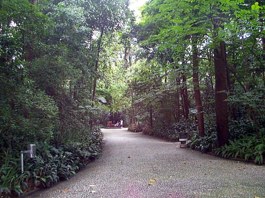 P000206