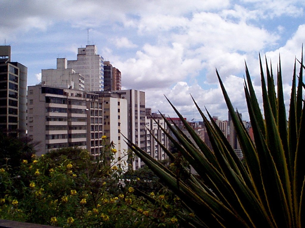 P000217