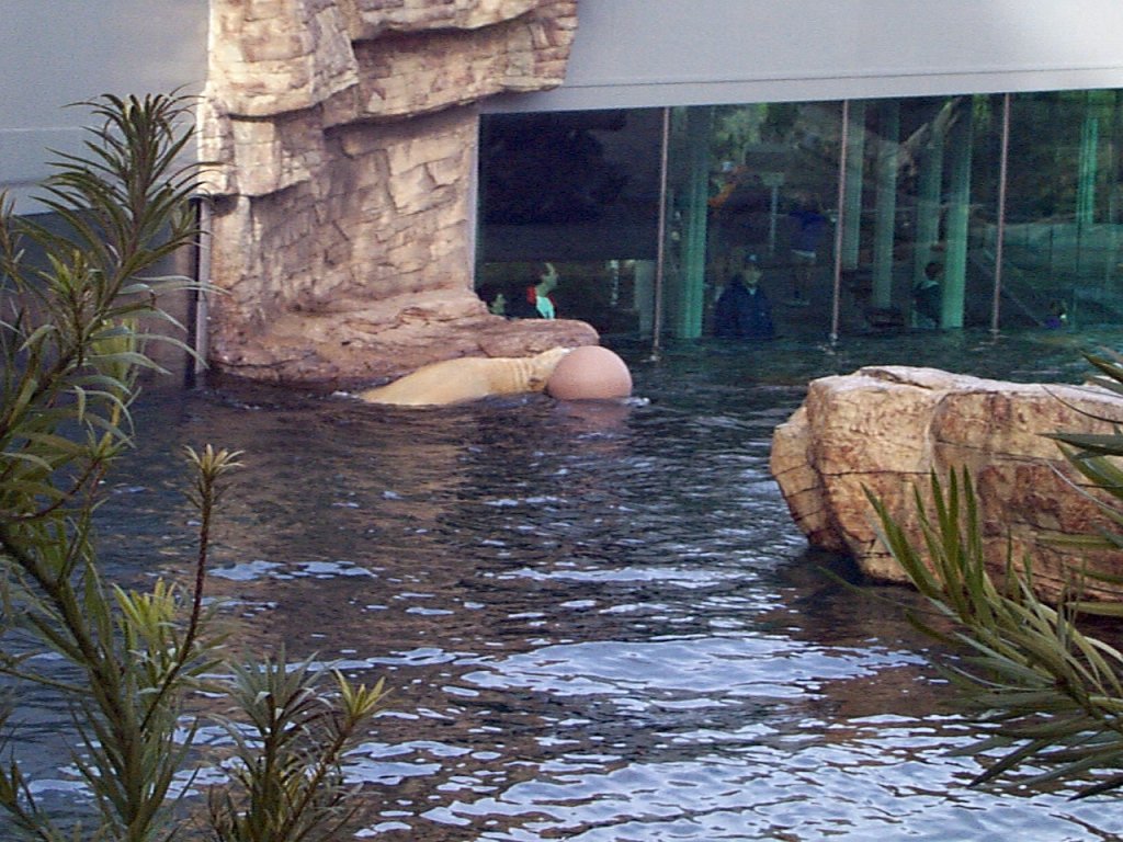 P000254