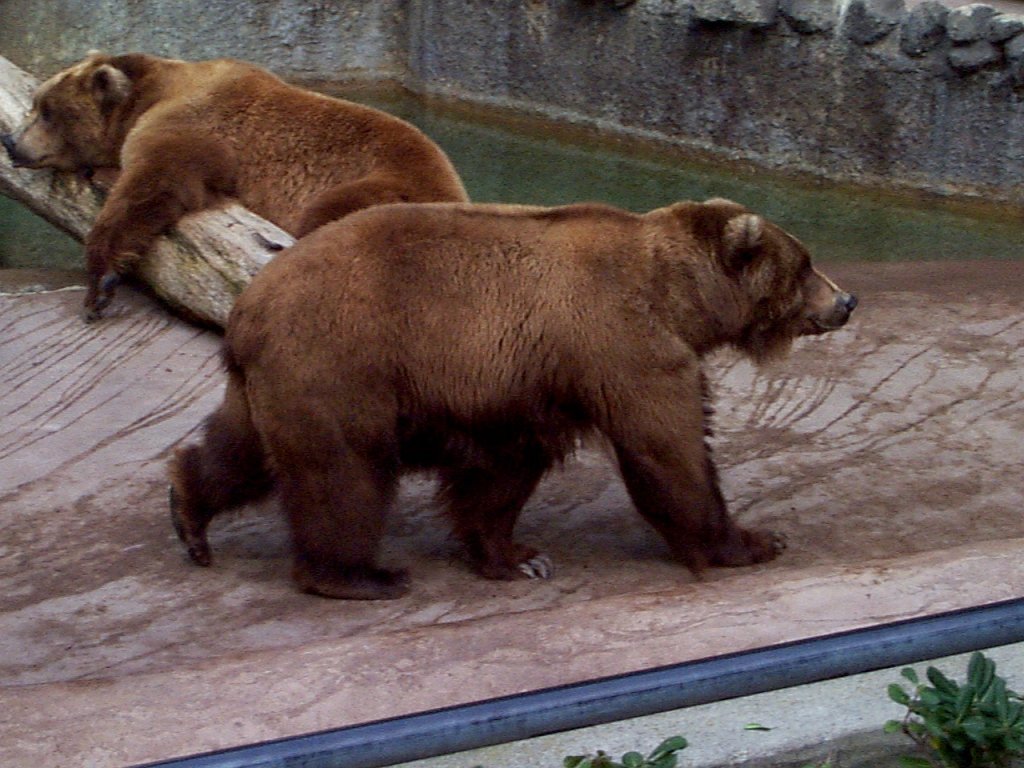 P000257