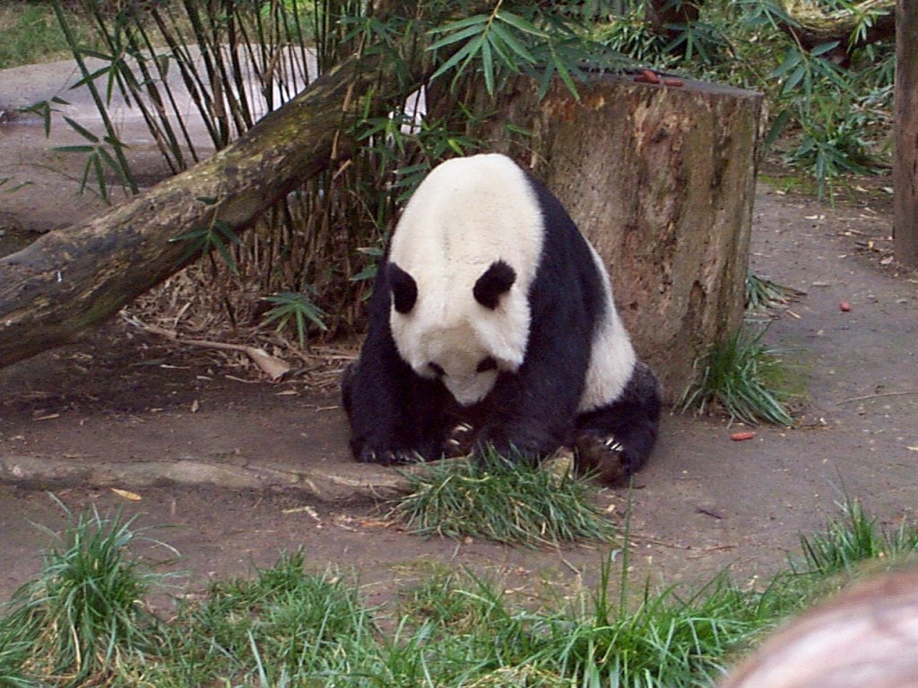 P000260