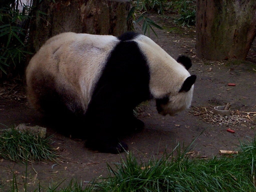 P000261