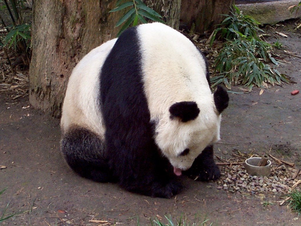 P000265