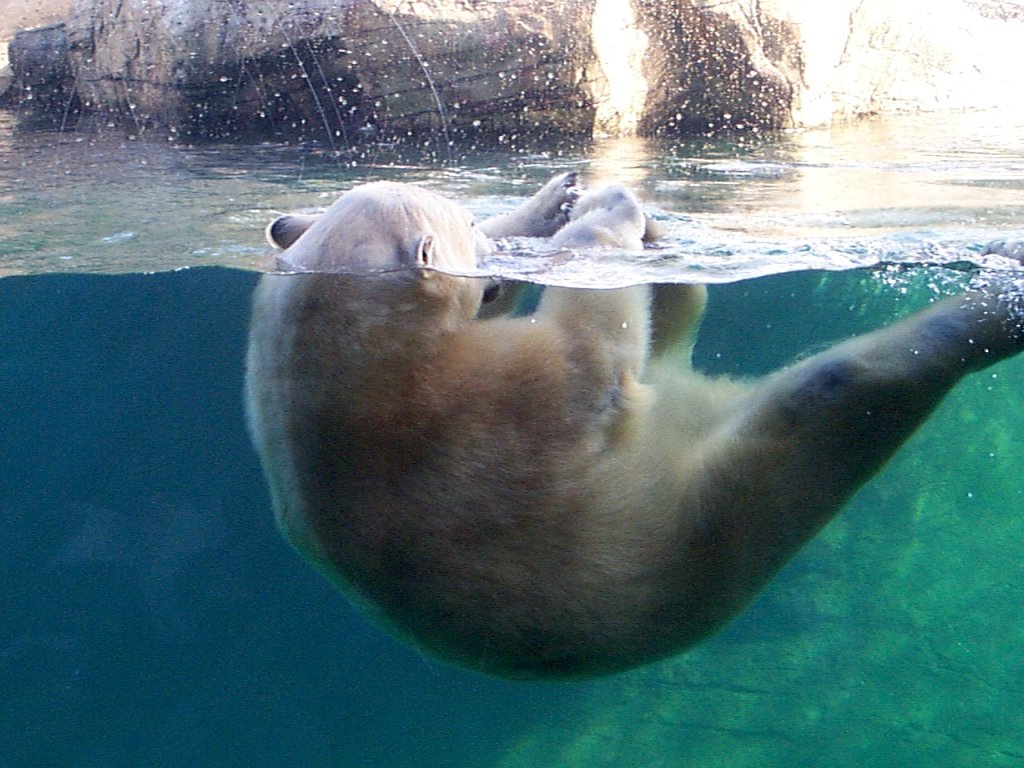 P000272