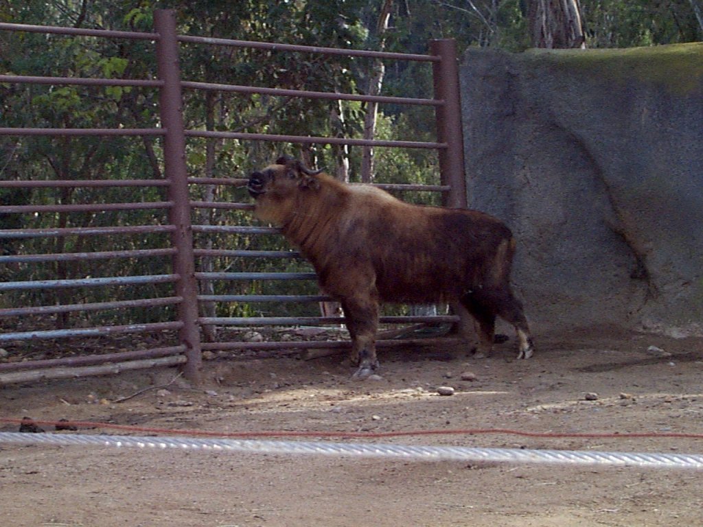 P000277
