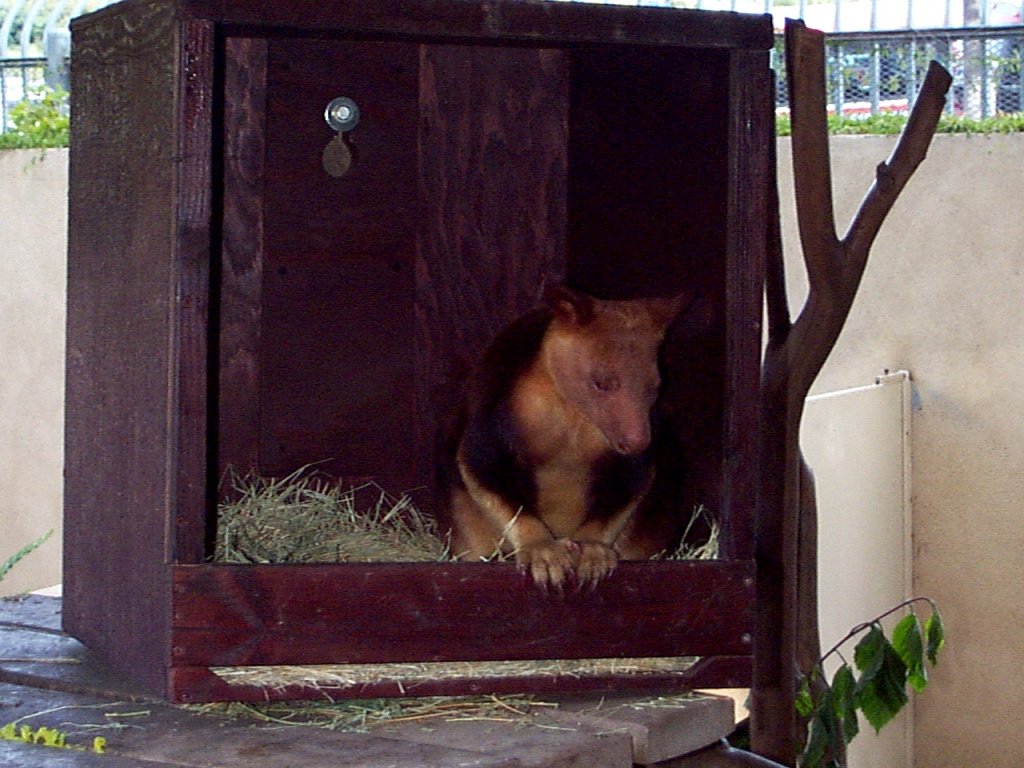 P000284