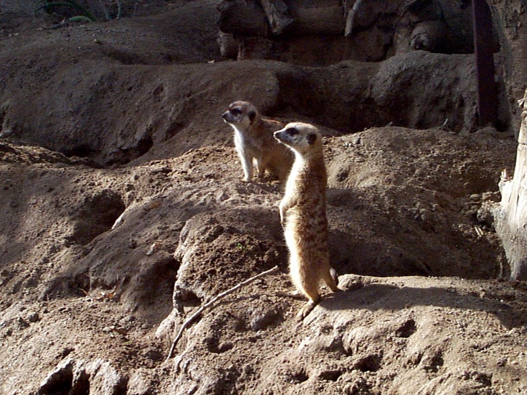 P000287
