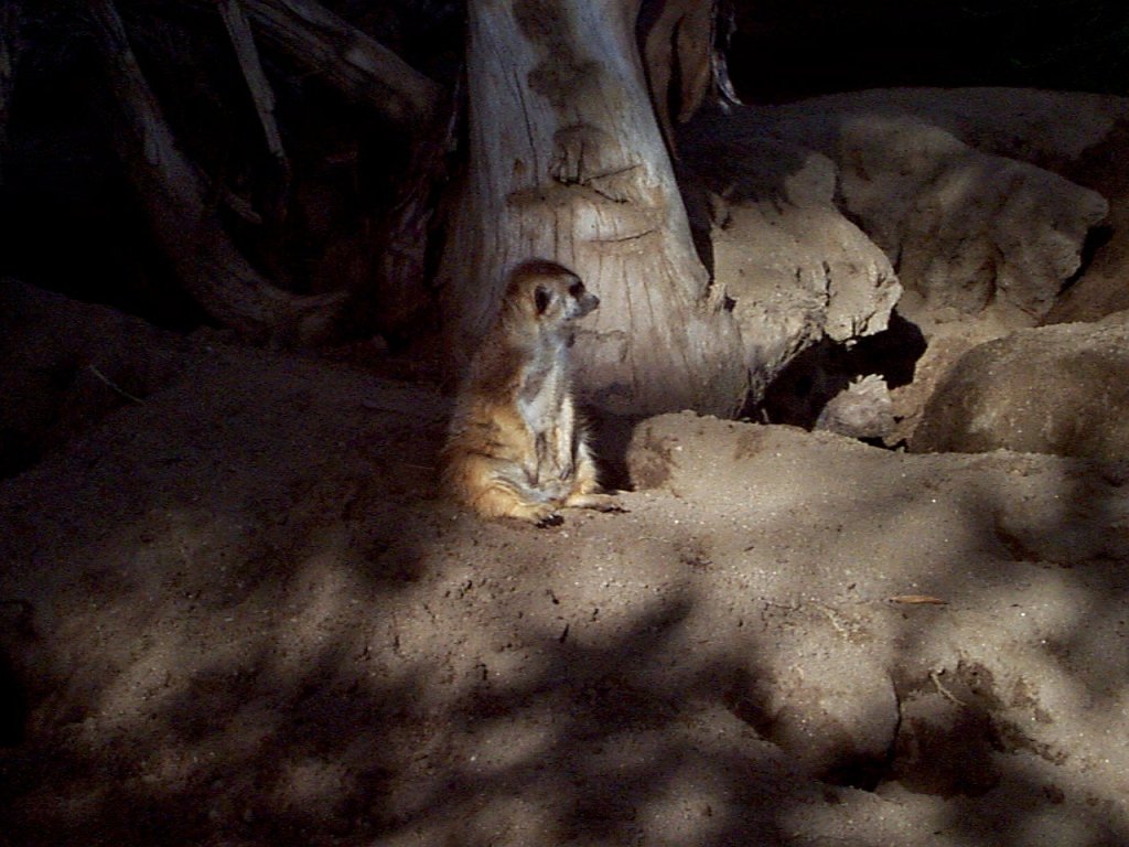 P000293