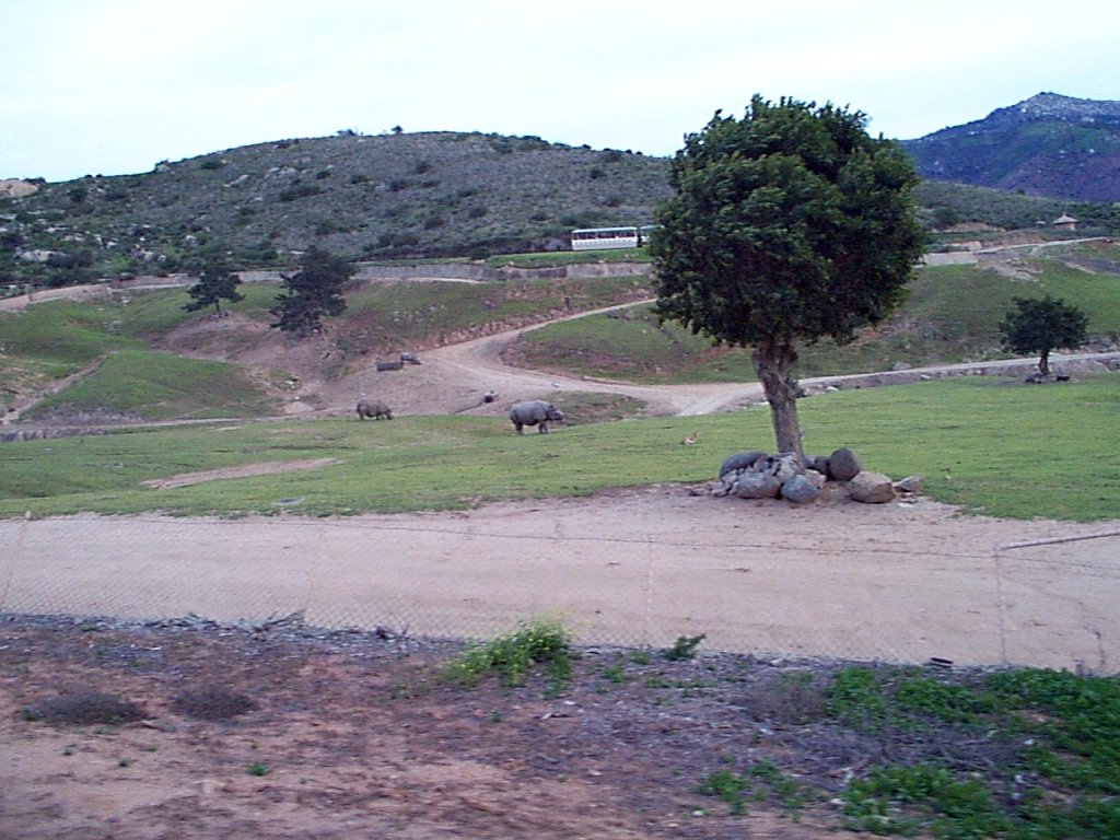 P000296
