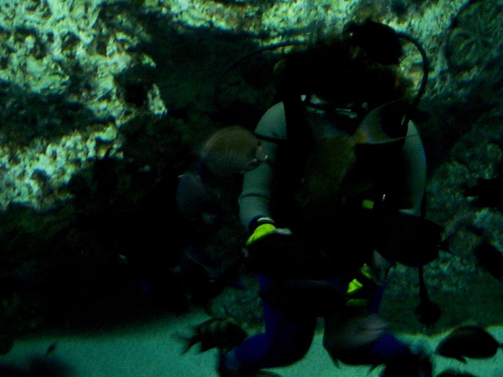 P000345