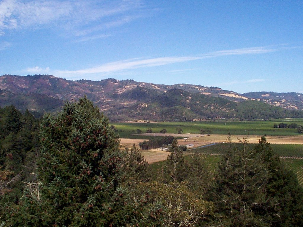 P000641