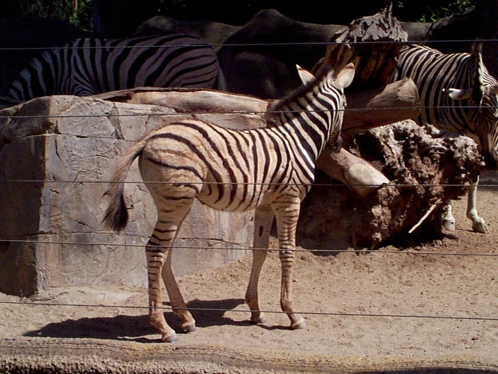 P000872