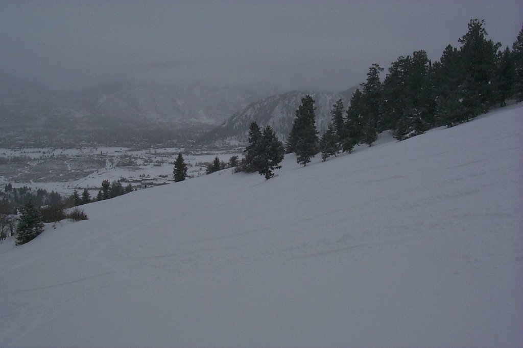 P0000267