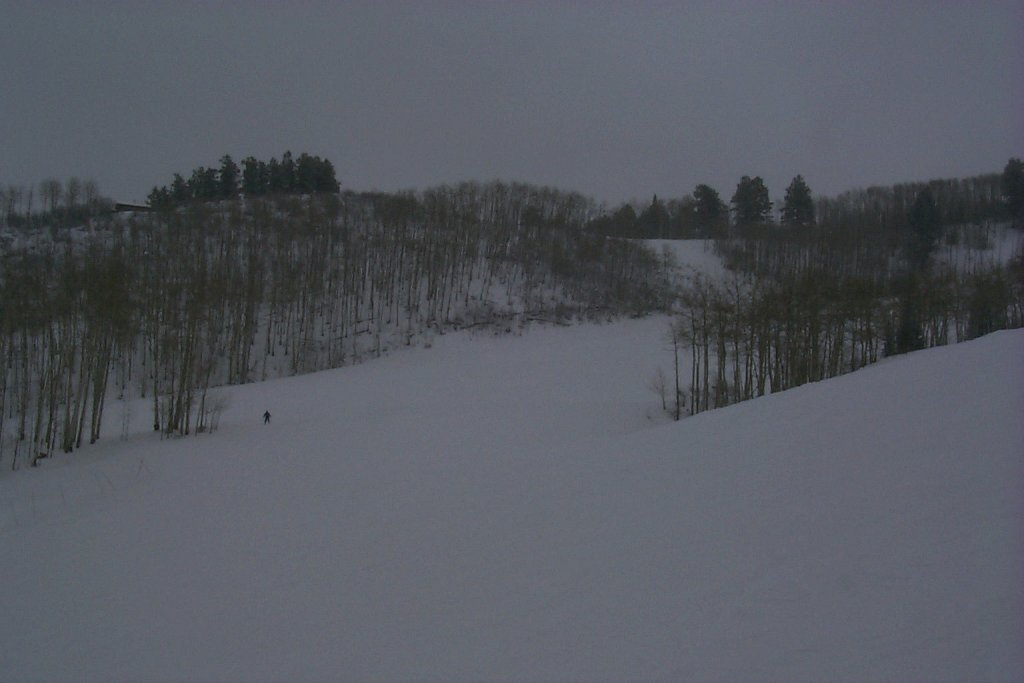 P0000273