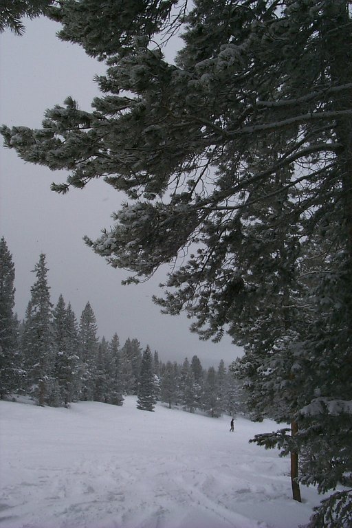 P0000277