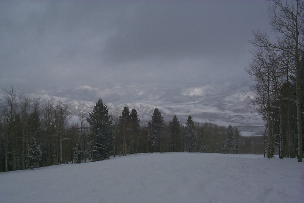 P0000278