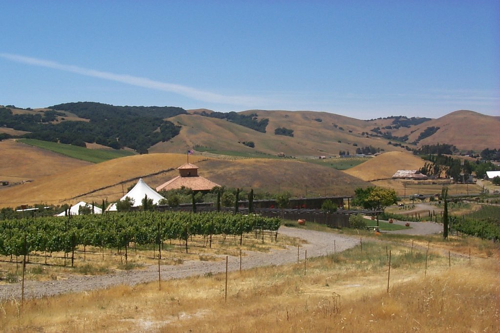P0000355
