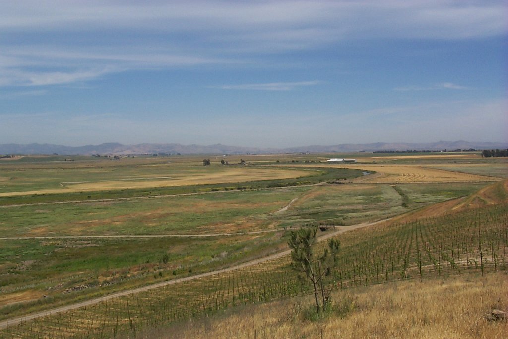 P0000356