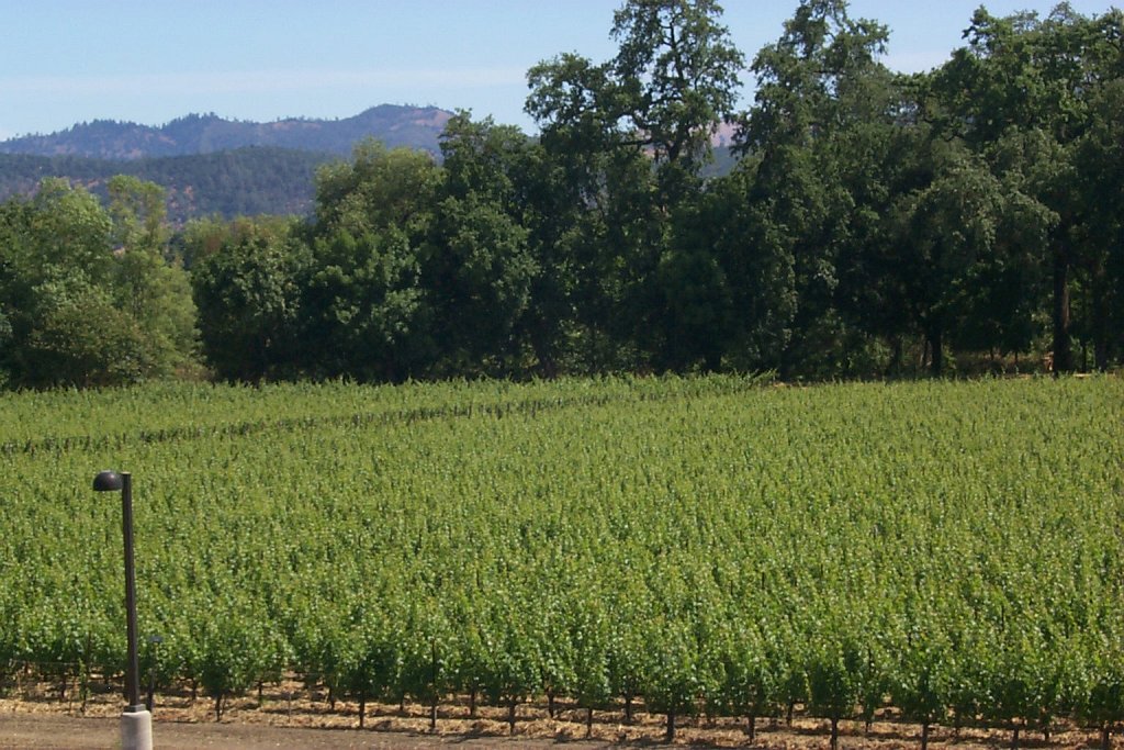 P0000380