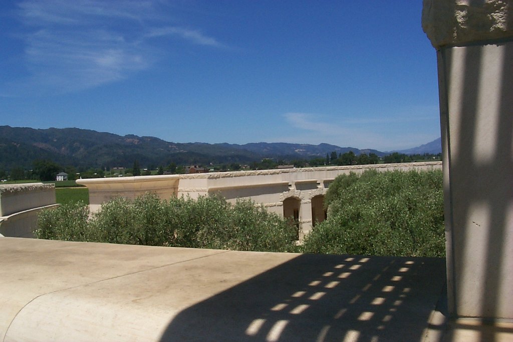 P0000394