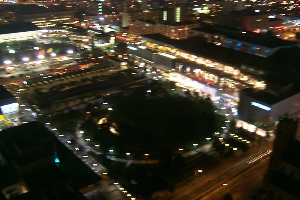 P0000419