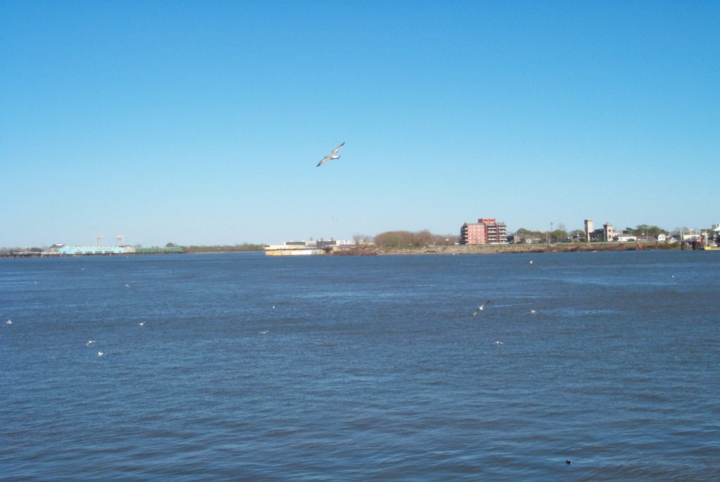 P0000298