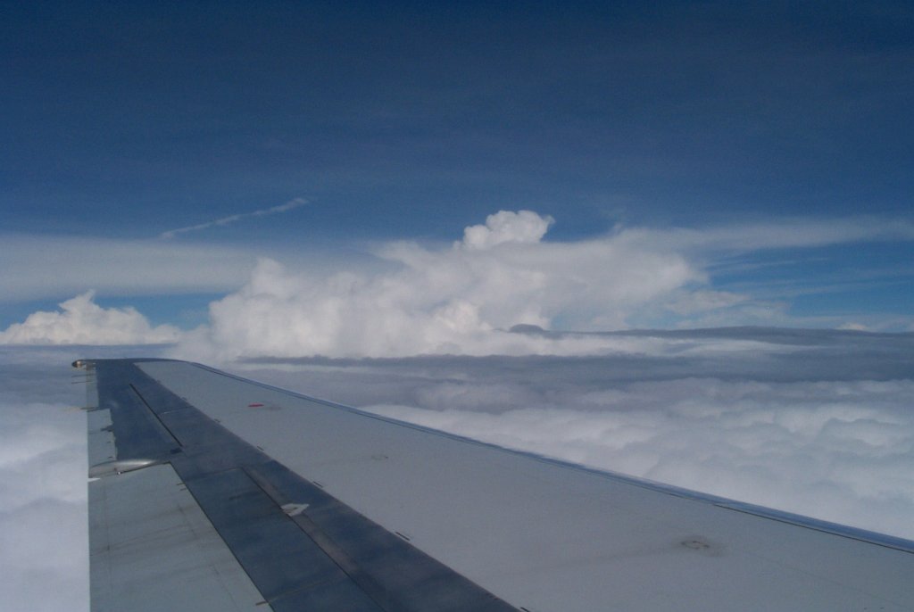 P0000384
