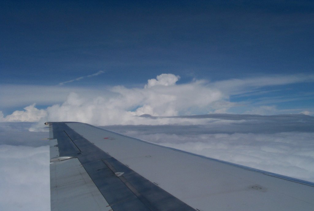 P0000385