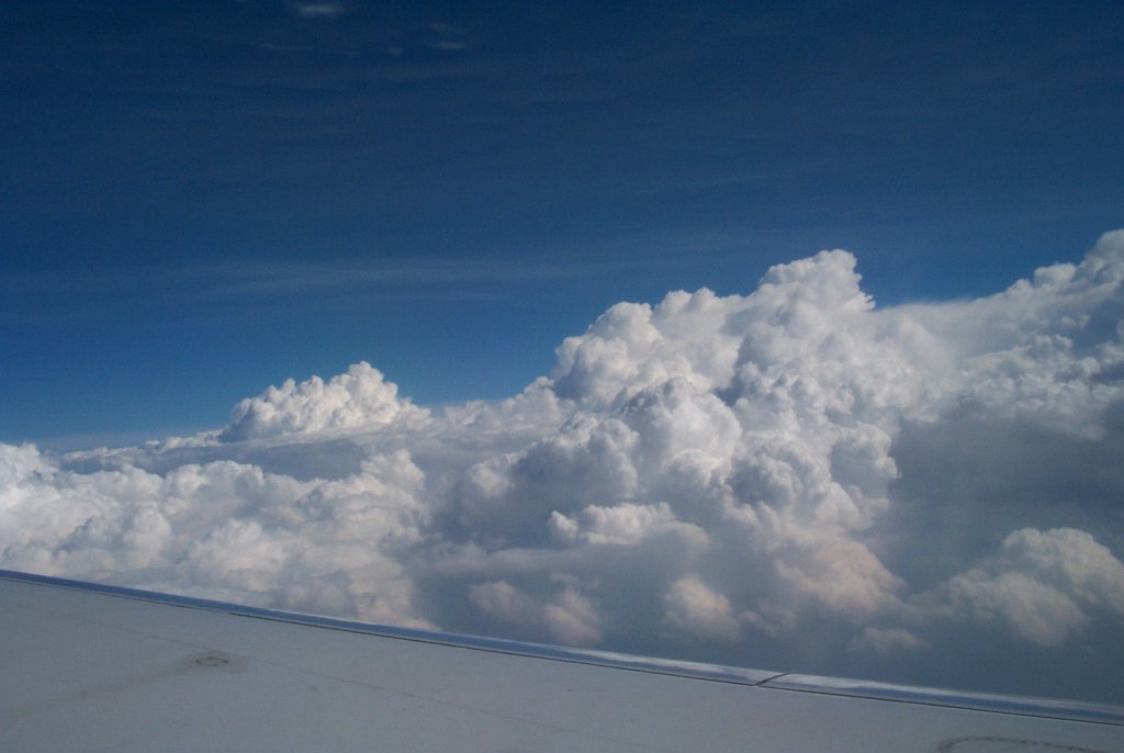 P0000388