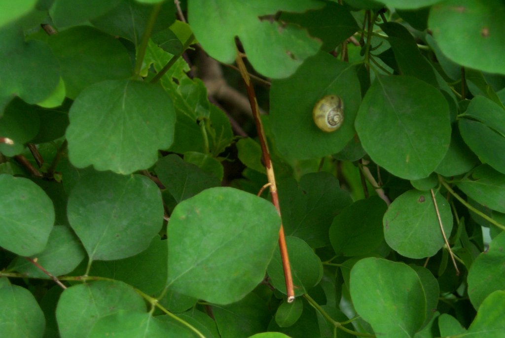 P0000422