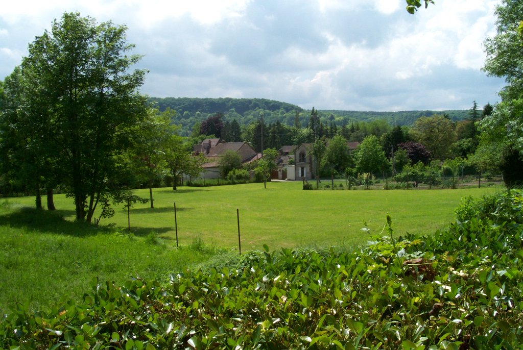 P0000446