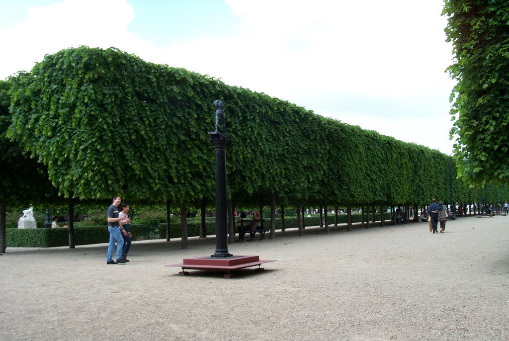 P0000480
