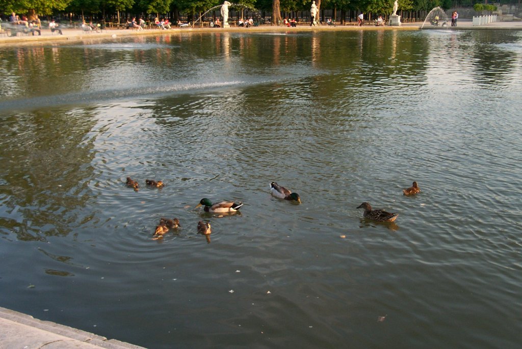 P0000556