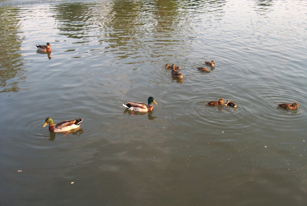 P0000560