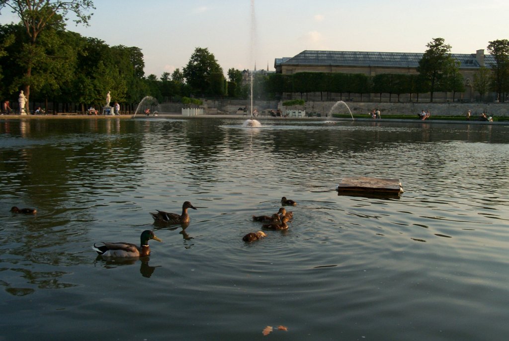 P0000561