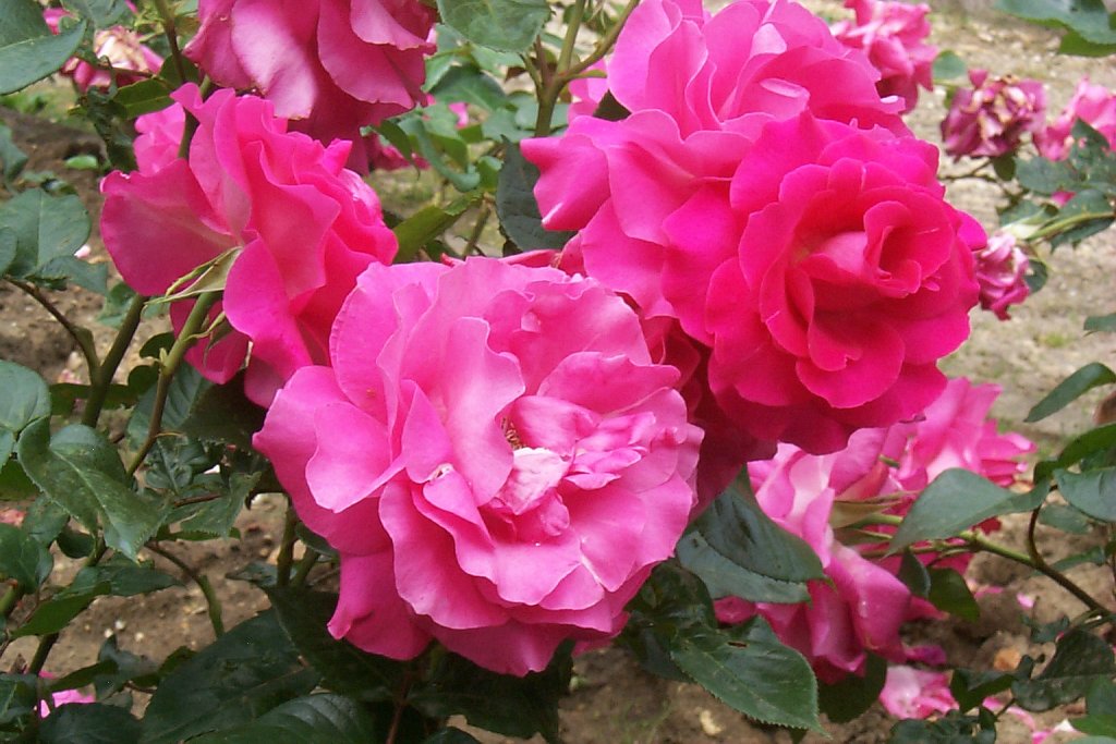 P0000888