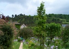 P0000407.jpg
