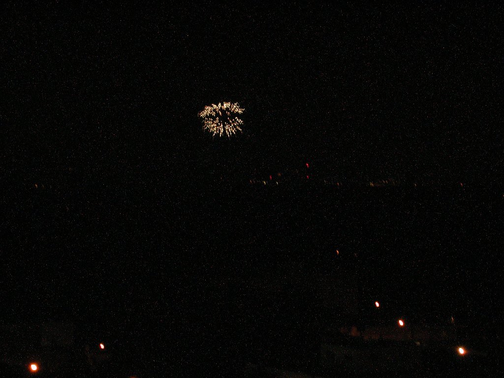DSCN0181