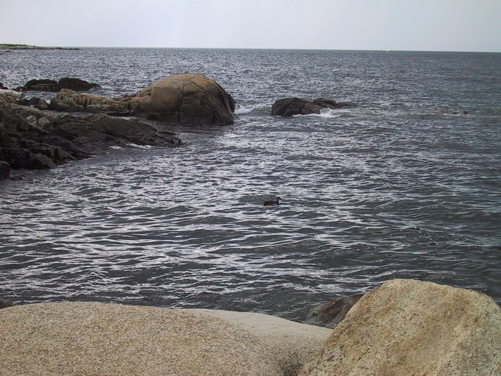 IMG 0203