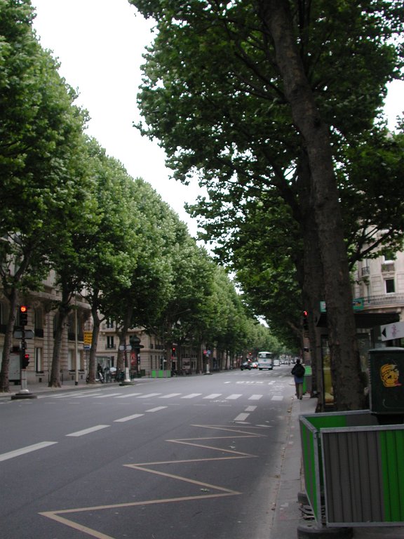 DSCN0303