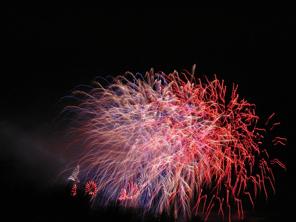 DSCN0346