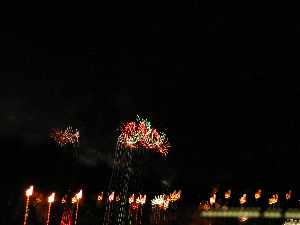 DSCN0347