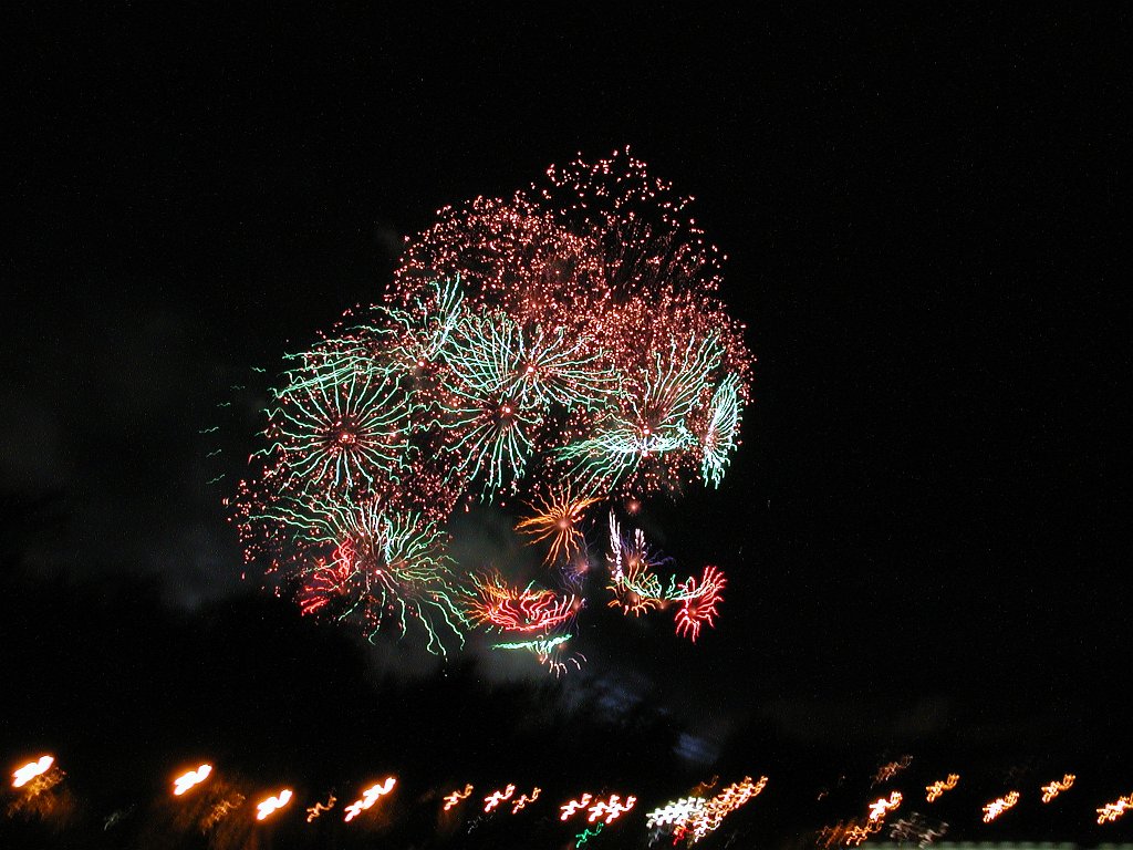 DSCN0349
