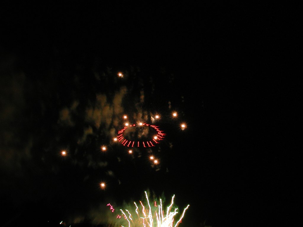 DSCN0356