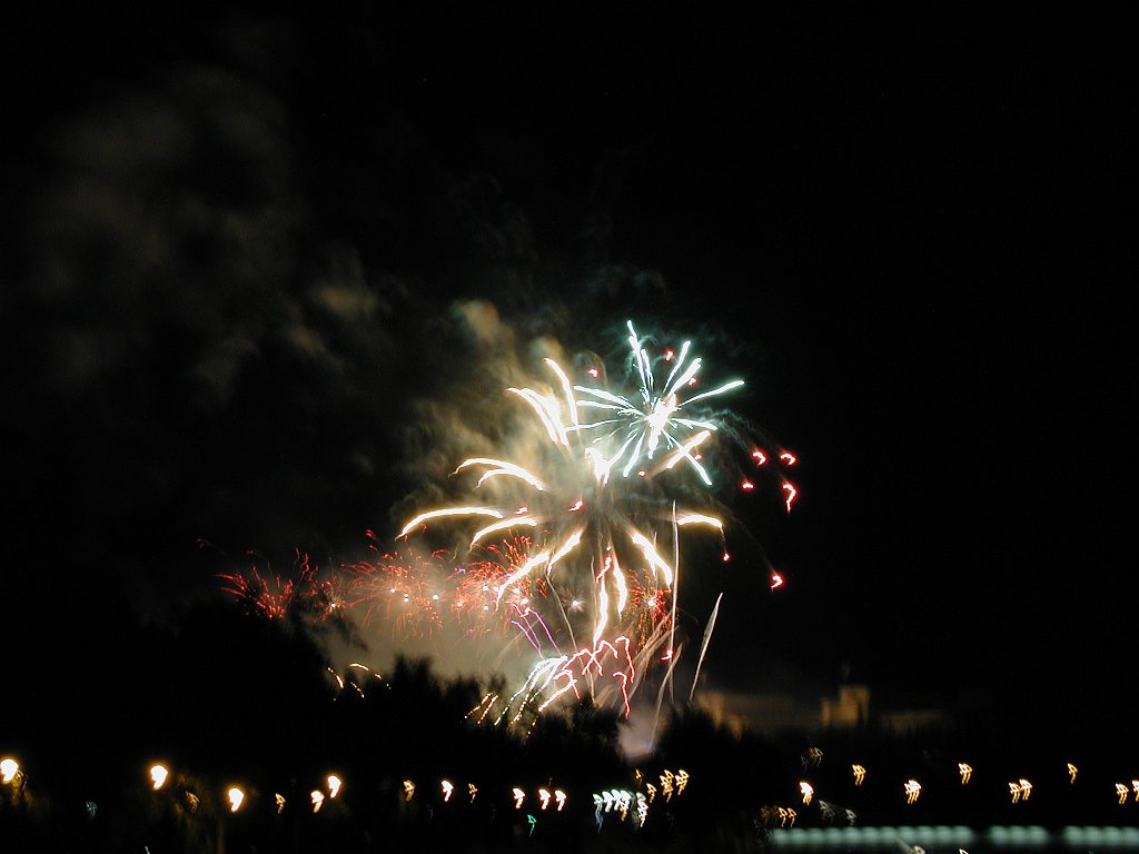 DSCN0358