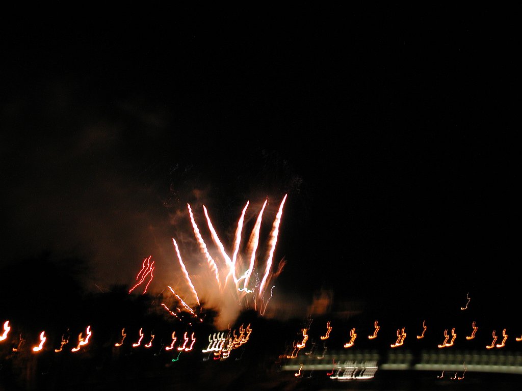 DSCN0361