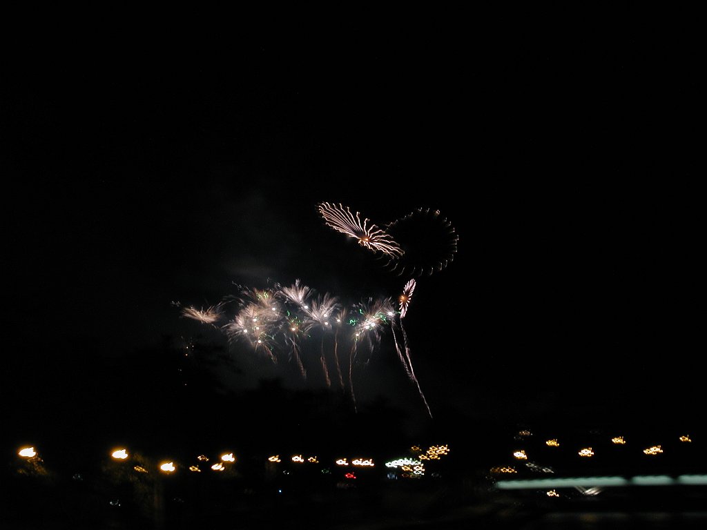 DSCN0363