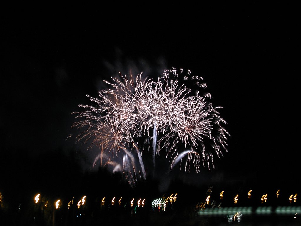 DSCN0366