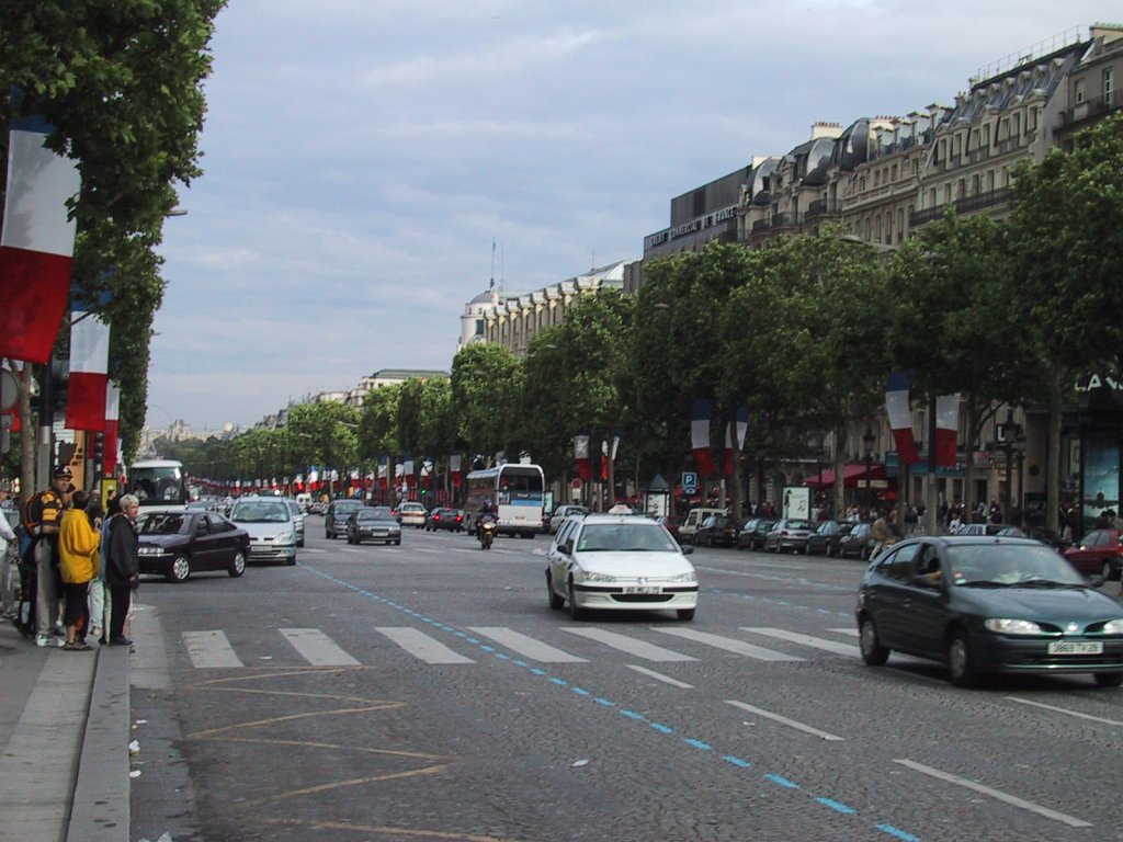 IMG 0258