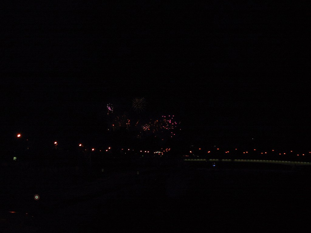 IMG 0289